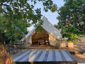 Rock Oak Camping 2